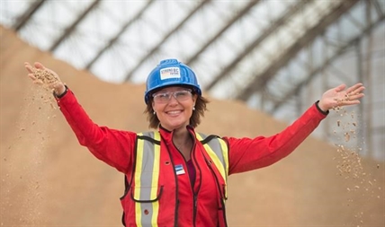B.C. ELECTION 2017: Liberal leader says all Canadians involved in U.S. softwood offer balked | iNFOnews.ca B.C. ELECTION 2017: Liberal leader says all Canadians involved in U.S. softwood offer balked | iNFOnews.ca
