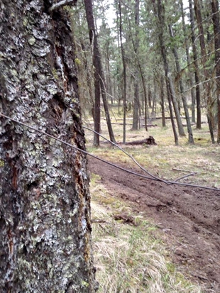 Man crashes through wire strung across trail while dirt biking north of Kamloops | iNFOnews.ca