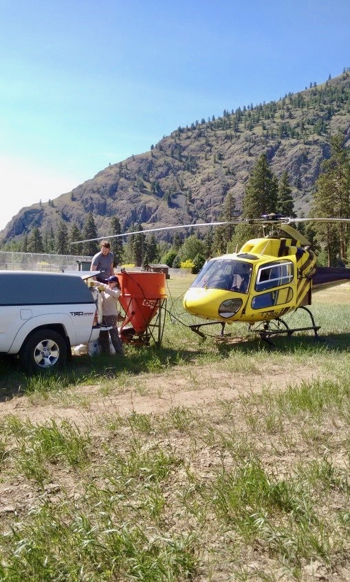 FLOOD WATCH 2017: High water levels hamper South Okanagan mosquito treatment program | iNFOnews.ca FLOOD WATCH 2017: High water levels hamper South Okanagan mosquito treatment program | iNFOnews.ca