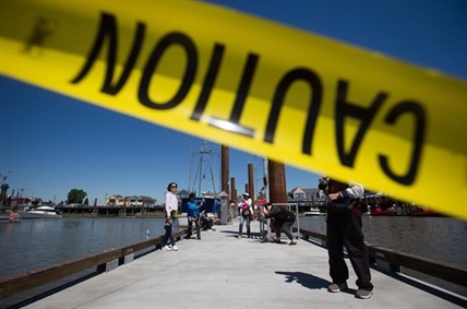Residents blame sea lion incident on people, not the animal or harbour authority | iNFOnews.ca