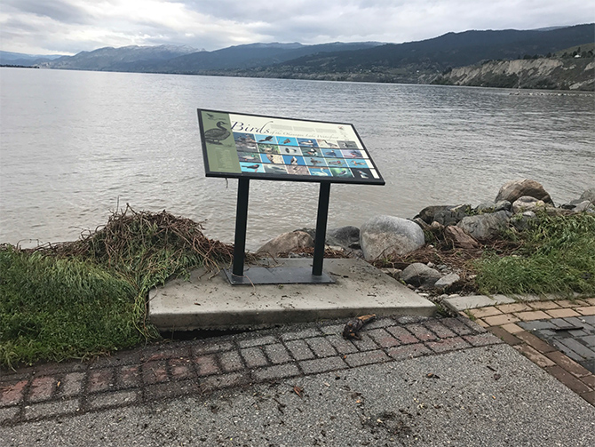 FLOOD WATCH 2017: Wave action damage on Okanagan Lake in Penticton | iNFOnews.ca FLOOD WATCH 2017: Wave action damage on Okanagan Lake in Penticton | iNFOnews.ca