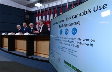 Experts offer advice for mitigating health risks of legalized marijuana | iNFOnews.ca