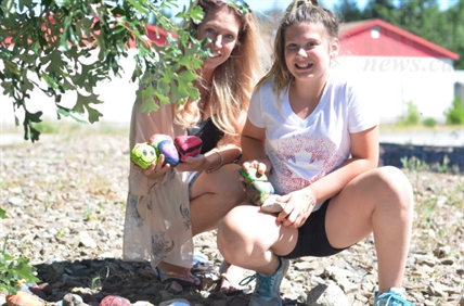 How Vernon residents are spreading community spirit one painted rock at a time | iNFOnews.ca