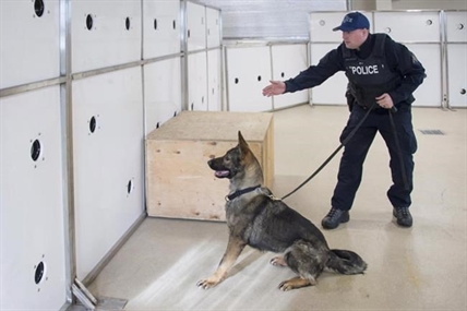 RCMP hosts workshop that teaches other police how to train dogs to find fentanyl | iNFOnews.ca RCMP hosts workshop that teaches other police how to train dogs to find fentanyl | iNFOnews.ca