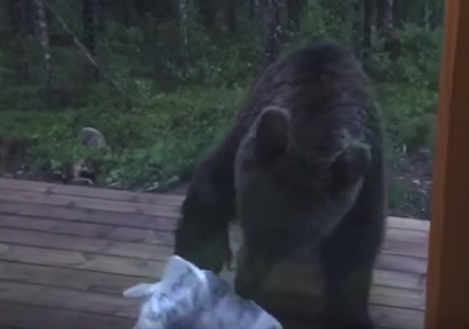 TRENDING NOW: Man chases bear away just by yelling | iNFOnews.ca TRENDING NOW: Man chases bear away just by yelling | iNFOnews.ca