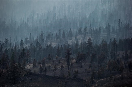 Oil, lumber companies mobilize to protect pipelines, mills from B.C. wildfires | iNFOnews.ca Oil, lumber companies mobilize to protect pipelines, mills from B.C. wildfires | iNFOnews.ca