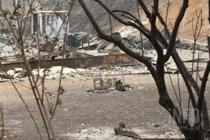 iN PHOTOS: B.C. wildfire rips through Ashcroft mobile home park | iNFOnews.ca