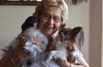 No, Vernon's therapy dog program isn't shutting down | iNFOnews.ca