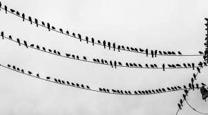 Resetting the clocks in the Shuswap | iNFOnews.ca Resetting the clocks in the Shuswap | iNFOnews.ca