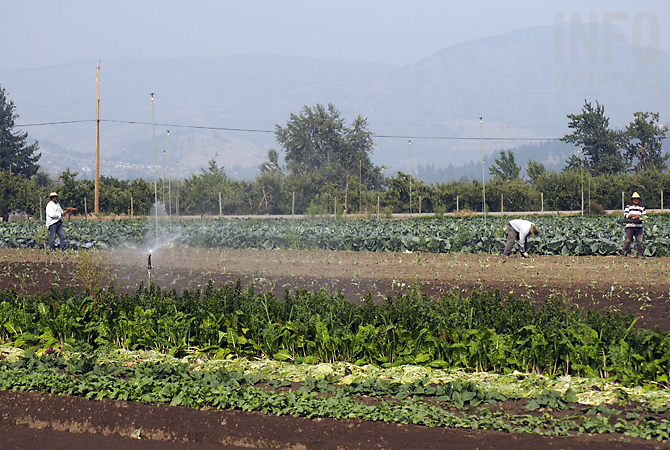 Kelowna farm forced to replace 'perfectly fine' foreign worker accommodations | iNFOnews.ca