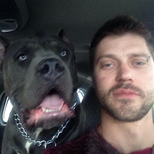 Pit bull owner comes forward with a different story about 'stolen' puppies | iNFOnews.ca