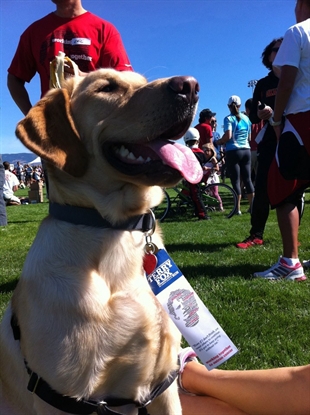 Mission sportsfield hosts Terry Fox Run this Sunday | iNFOnews.ca Mission sportsfield hosts Terry Fox Run this Sunday | iNFOnews.ca