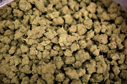 Manitoba appears open to private marijuana sales when pot becomes legal | iNFOnews.ca Manitoba appears open to private marijuana sales when pot becomes legal | iNFOnews.ca