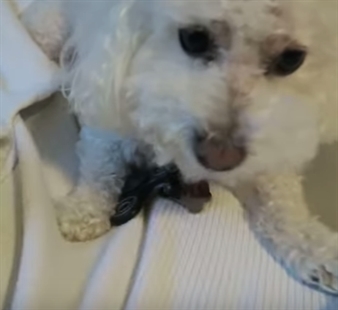 TRENDING NOW: If sharing is caring, then Quincy doesn't care | iNFOnews.ca