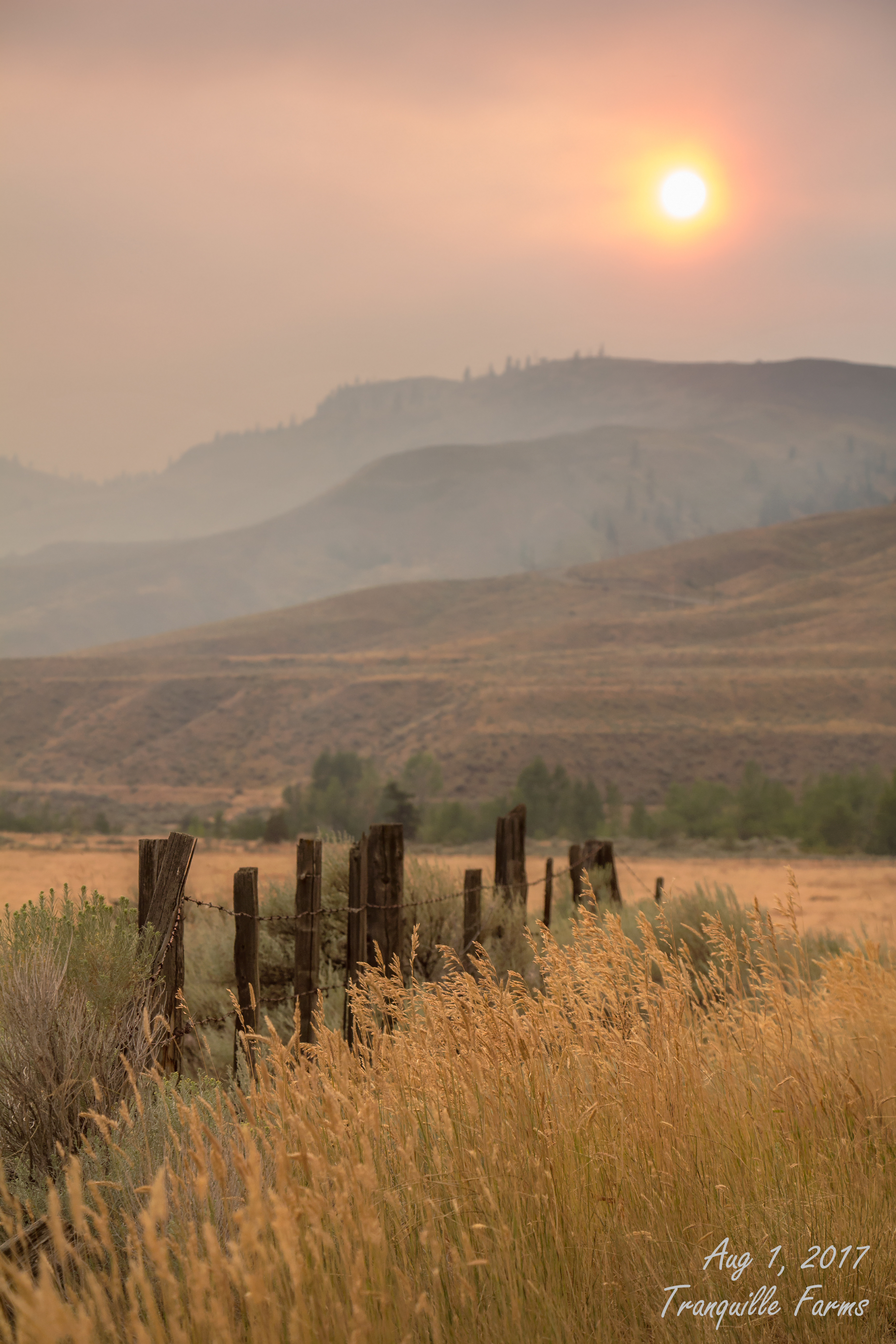 iN PHOTOS: Deteriorating air quality in Kamloops | iNFOnews.ca
