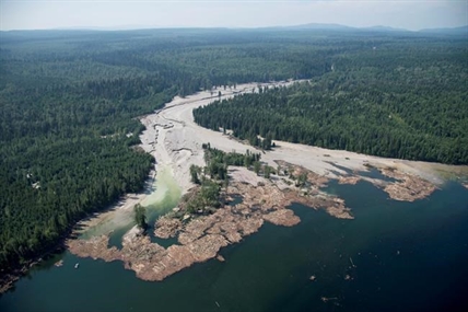 B.C. premier says it's 'disturbing' no charges filed in Mount Polley disaster | iNFOnews.ca