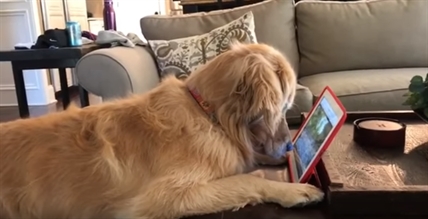 TRENDING NOW: Squirrels make life worth living | iNFOnews.ca