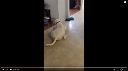 TRENDING NOW: Gregory wants gravy | iNFOnews.ca