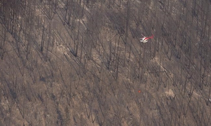B.C.'s wildfire season to have long-term implications for logging | iNFOnews.ca