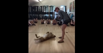 TRENDING NOW: Dog leads fitness class | iNFOnews.ca