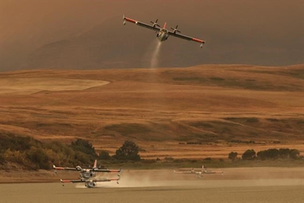 Alberta wildlife expert says animals well adapted to survive wildfires | iNFOnews.ca