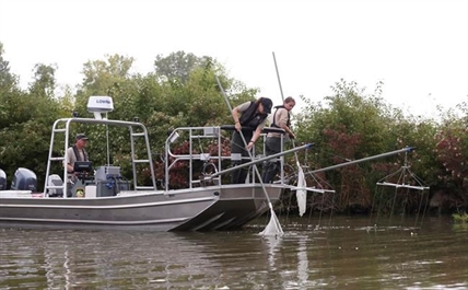 Evidence of invasive grass carp signals threat to Lake Erie | iNFOnews.ca