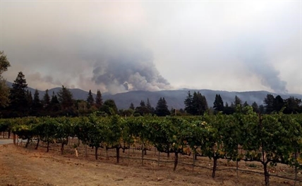 Fires destroy at least two California wineries, damage others | iNFOnews.ca