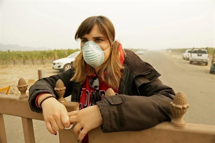 Vintners inspect grapes, check buildings after California wildfires | iNFOnews.ca