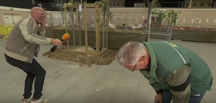 TRENDING NOW: The contagious chicken laugh | iNFOnews.ca