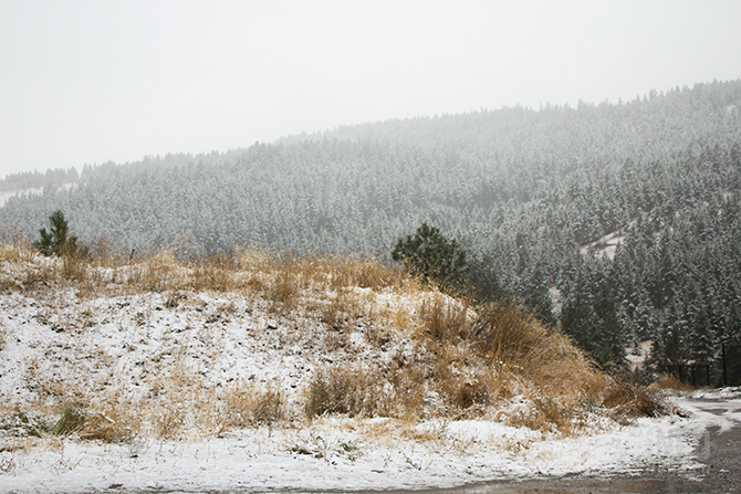 iN PHOTOS: Kamloops's first snowfall of the season | iNFOnews.ca