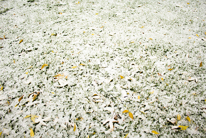iN PHOTOS: Kamloops's first snowfall of the season | iNFOnews.ca