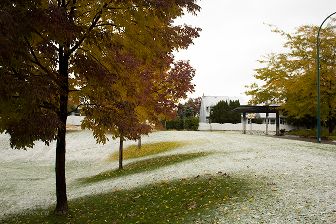 iN PHOTOS: Kamloops's first snowfall of the season | iNFOnews.ca