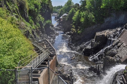 No salmon return to Canada river, bringing New England fears | iNFOnews.ca