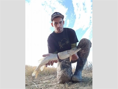 Pike's plastic plight: Alberta man frees fish cinched in two by bottle wrapper | iNFOnews.ca