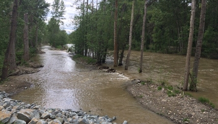 Expected Repairs & Refinements to Mission Creek Restoration Project | iNFOnews.ca