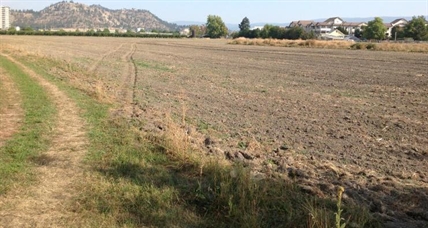Farm first, tourism later | iNFOnews.ca Farm first, tourism later | iNFOnews.ca