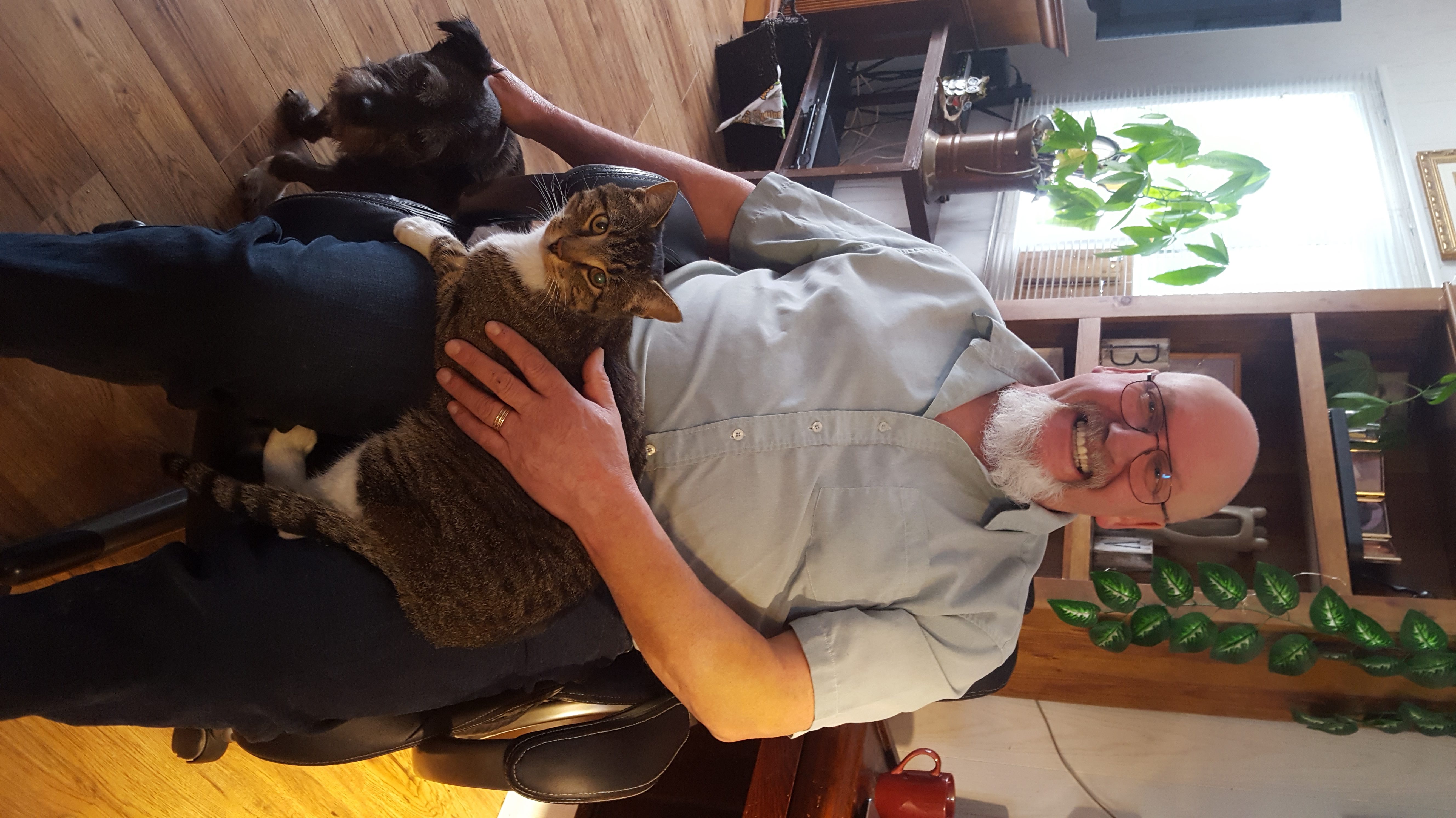 Five months later, Vernon couple's missing cat shows up in Nelson | iNFOnews.ca Five months later, Vernon couple's missing cat shows up in Nelson | iNFOnews.ca