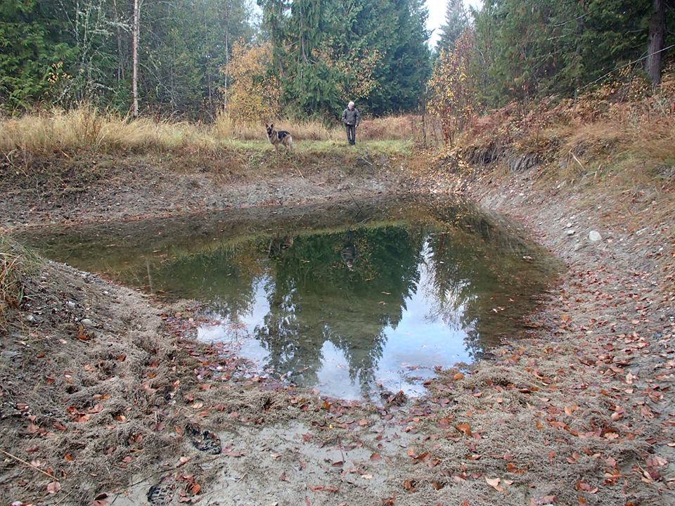 North Okanagan landowners show why goldfish should stay in the bowl | iNFOnews.ca