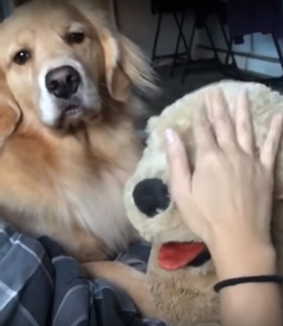 TRENDING NOW: There can only be one 'good girl' | iNFOnews.ca