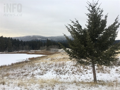 Snow flurries possible in Kamloops this weekend | iNFOnews.ca