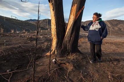 Residents, businesses still struggling after precedent-setting B.C. fire season | iNFOnews.ca Residents, businesses still struggling after precedent-setting B.C. fire season | iNFOnews.ca