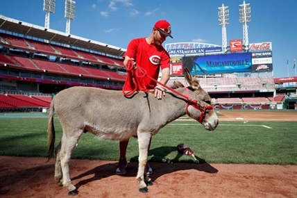 Sports quirks of the year: Basepath chaos, donkey gift, sunken earring | iNFOnews.ca Sports quirks of the year: Basepath chaos, donkey gift, sunken earring | iNFOnews.ca