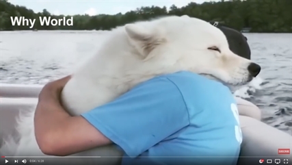 TRENDING NOW: Animals hugging humans | iNFOnews.ca TRENDING NOW: Animals hugging humans | iNFOnews.ca