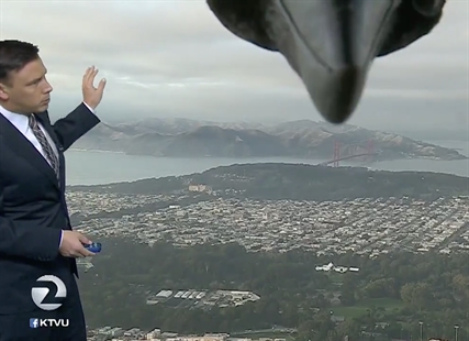 TRENDING NOW: Bird photobombs weatherman | iNFOnews.ca
