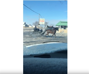 TRENDING NOW: Horse and buggy drifting | iNFOnews.ca