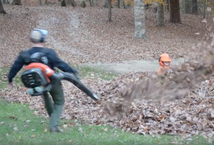 TRENDING NOW: Unbe-leaf-able trick | iNFOnews.ca