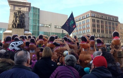 Dozens dressed as Tyrannosaurus rex descend on public square | iNFOnews.ca Dozens dressed as Tyrannosaurus rex descend on public square | iNFOnews.ca