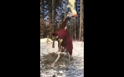 TRENDING NOW: Horse plays with stuffed toy | iNFOnews.ca