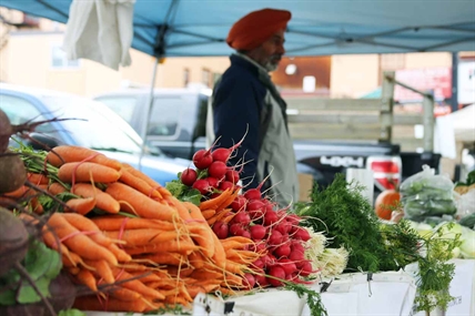 Harvesting B.C.'s farmers' food donation tax credit | iNFOnews.ca Harvesting B.C.'s farmers' food donation tax credit | iNFOnews.ca