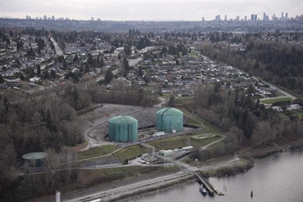 Burnaby seeks appeal over tree cutting permits involving Trans Mountain pipeline | iNFOnews.ca